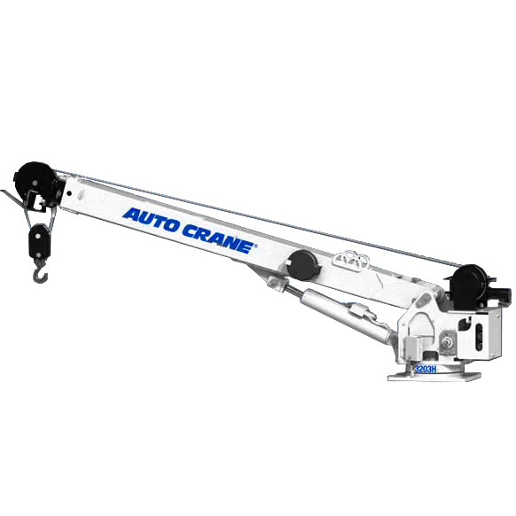 Auto Crane Crane